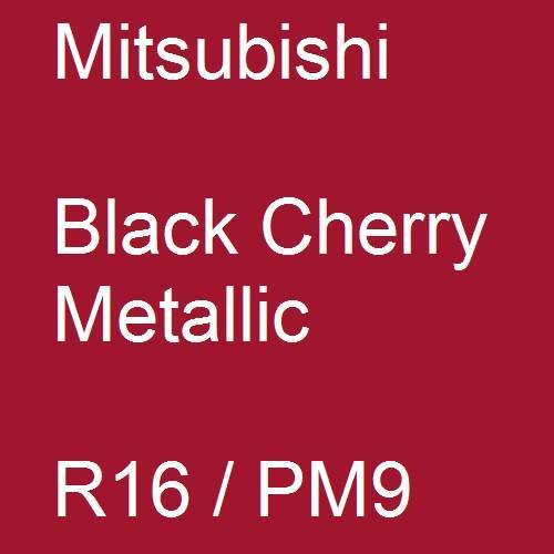 Mitsubishi, Black Cherry Metallic, R16 / PM9.